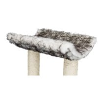 Grattoir pour Chats Trixie 44567 Arbre Sisal Noir Ø 8 cm 62 cm 36 x 36 cm