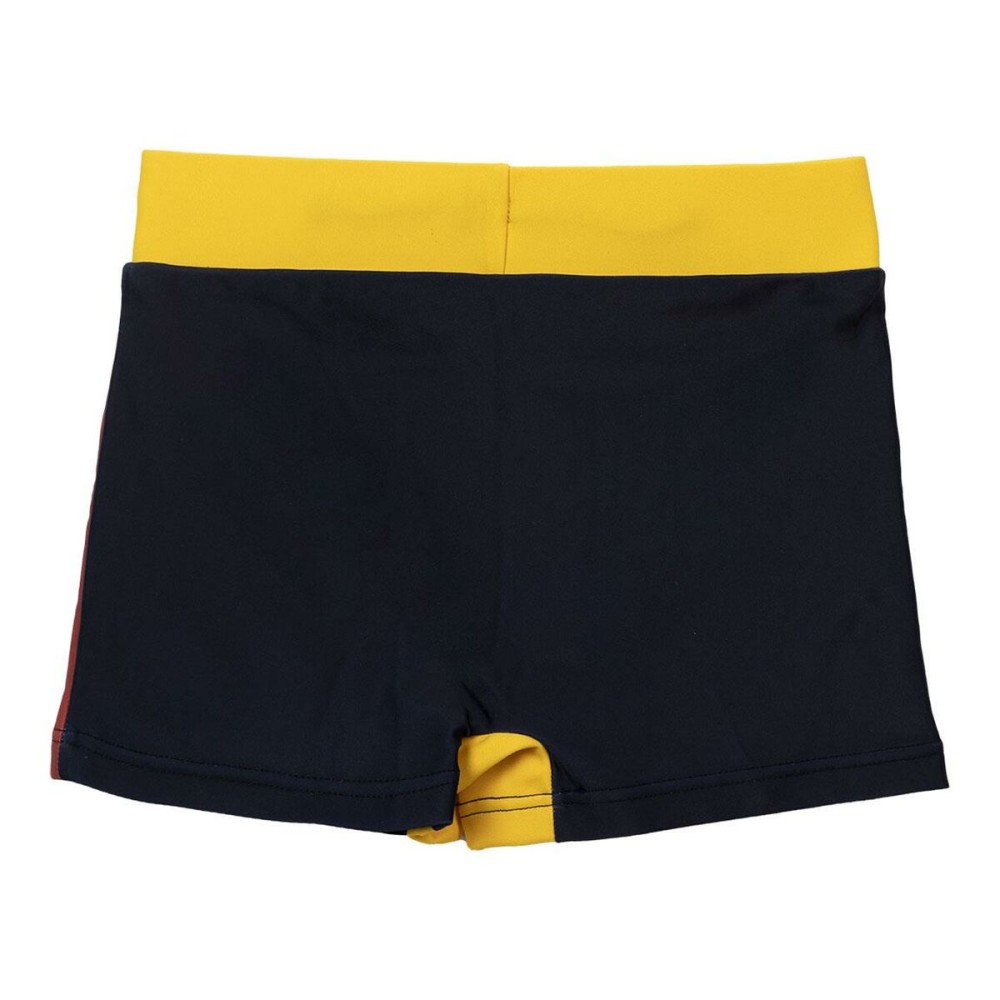 Boxer de Bain pour Enfants Harry Potter Multicouleur