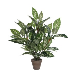 Dekorationspflanze Mica Decorations Dieffenbachia Dieffenbachia grün PVC (15,7 x 70 cm)