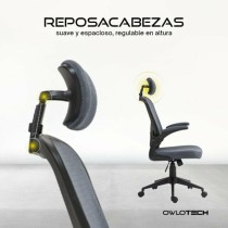 Office Chair Owlotech Grey