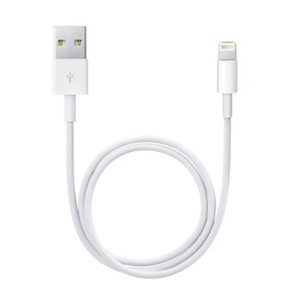 Lightning Cable Apple ME291ZM/A 50 cm White