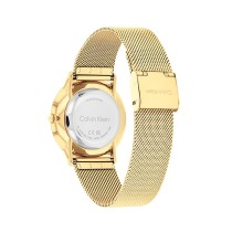 Ladies' Watch Calvin Klein 25300003