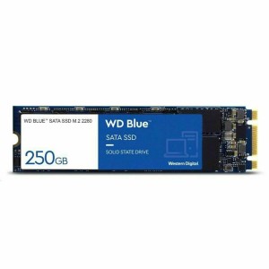 Festplatte Western Digital SA510 500 GB SSD