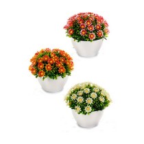 Plante décorative Ibergarden S17-L048 Plastique Marguerite 14 x 13 x 14 cm (12 Unités)