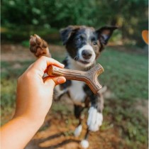 Beißring für Hunde Benebone Braun tiere