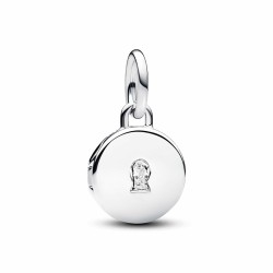 Charms für Damen Pandora 793066C01