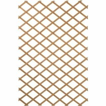 Garden Fence Nature Brown 50 x 150 cm