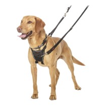 Dog Harness Company of Animals Halti Size M (34-56 cm)