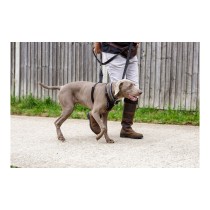 Harnais pour Chien Company of Animals Halti Taille M (34-56 cm)