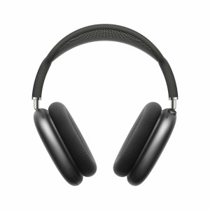 Casque Apple MGYH3TY/A Gris