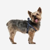 Hundegeschirr Star Wars Schwarz M/L