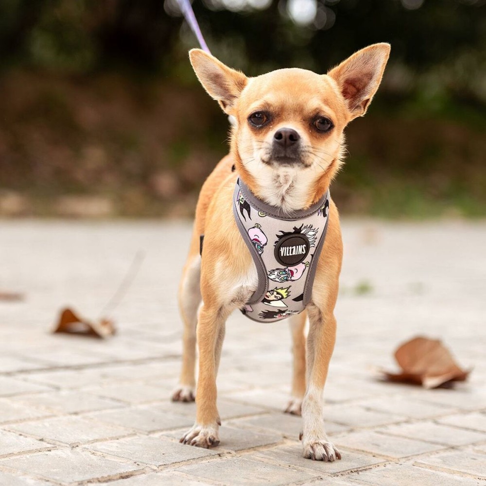 Dog Harness Disney Grey