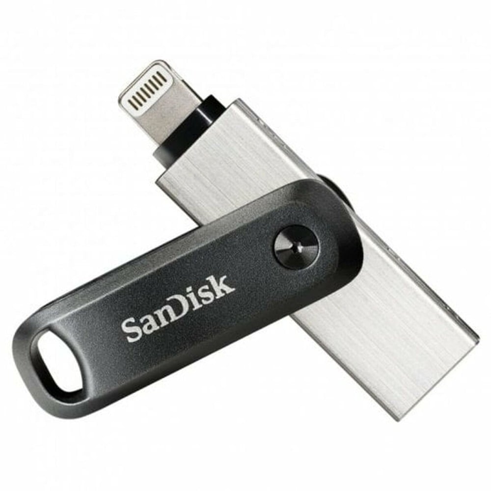 Clé USB SanDisk Argent 256 GB