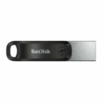 Clé USB SanDisk Argent 256 GB