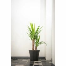 Plant pot Garden ID Black 30 x 27 cm