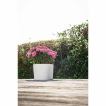 Pot auto-arrosant Garden ID Blanc 25 x 25 cm