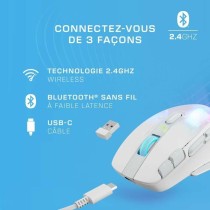 Souris sans-fil Turtle Beach Kone XP Air Blanc