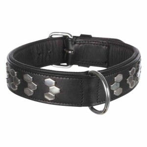 Collier Trixie Noir 45–55 cm Cuir