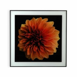 Bild Versa Blume Kristall polystyrol (2 x 60 x 40 cm)