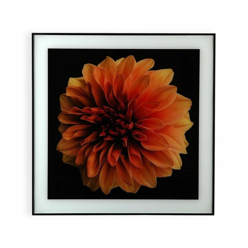 Cadre Versa Fleur Verre polystyrène (2 x 60 x 40 cm)