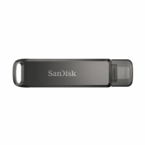 USB stick   SanDisk SDIX70N-256G-GN6NE         Black 256 GB (1 Unit)