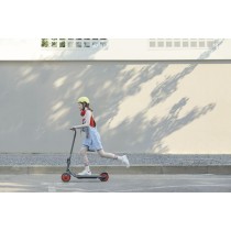 Electric Scooter Segway Zing С20 Black Red 150 W