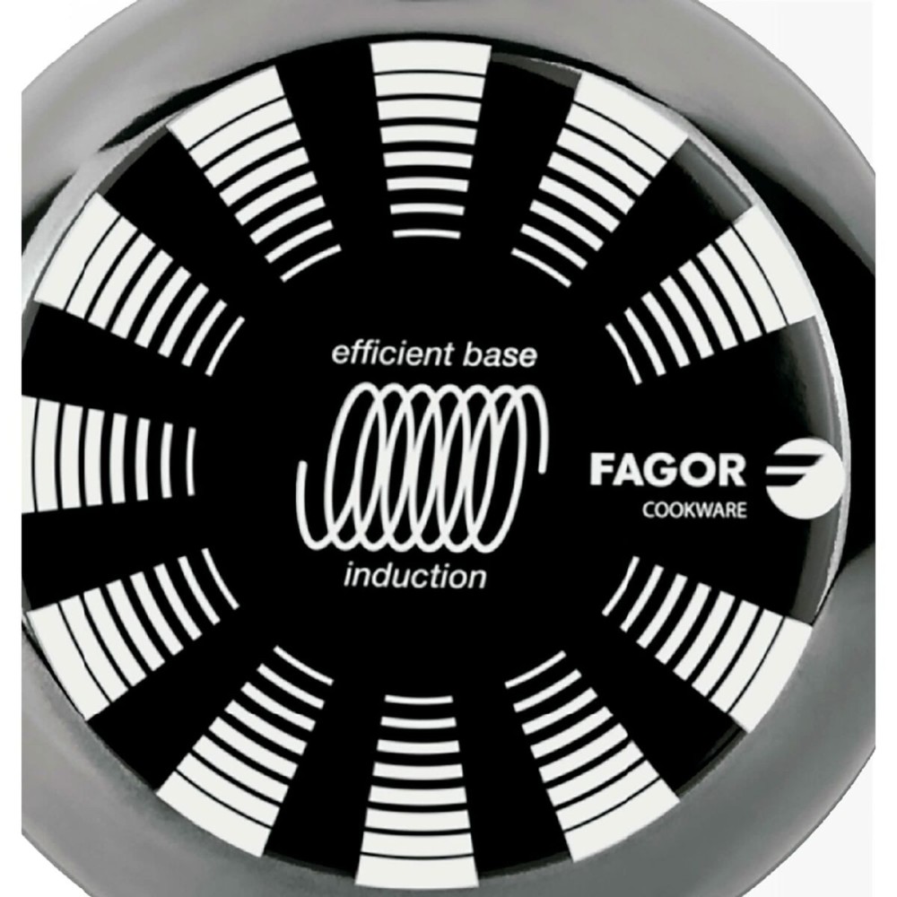 Pan FAGOR Indutherm Black Enamelled Steel (Ø 24 cm)