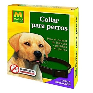 Dog collar Massó Anti-parasites