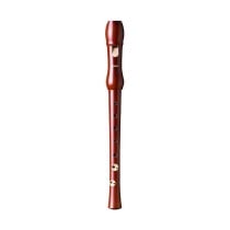 Recorder Hohner Case