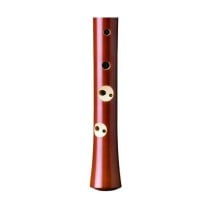 Recorder Hohner Case