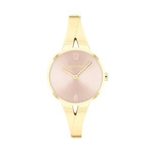 Ladies' Watch Calvin Klein 25100027