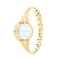 Ladies' Watch Calvin Klein 25100027