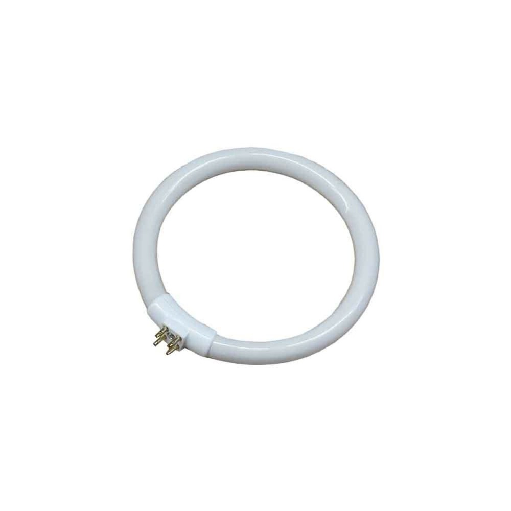 Tube fluorescent EDM 00301 30287 Blanc 12 W T4 Rechange Circulaire (6500 K)