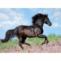 Puzzle Ravensburger 12803 Black Stallion XXL 200 Pièces