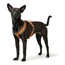 Dog Harness Hunter London Comfort Orange S/M 52-62 cm