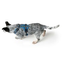 Dog Harness Hunter Maldon Up Blue 66-118 cm