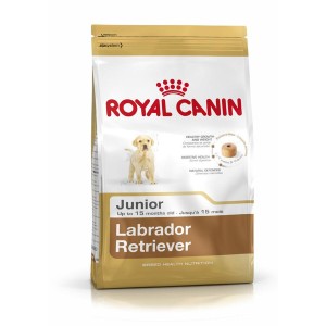 Nourriture Royal Canin Labrador Retriever Junior Petit/Junior Poulet Riz Maïs Oiseaux 12 kg