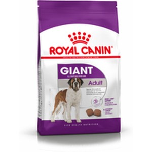 Nourriture Royal Canin Giant Adult Adulte Poulet Oiseaux 15 kg