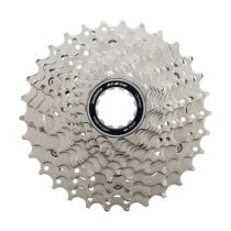 Pinienkerne Shimano ICSR700011132