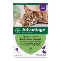 Antiparasites Advantage Chat Lapin +4 Kg 4 Unités 0,8 ml