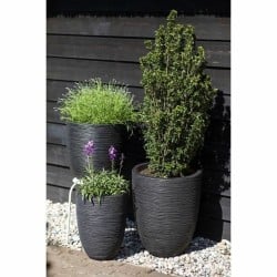 Planter Capi Europe Black Plastic Circular 34 x 34 x 46 cm