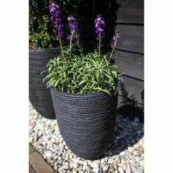 Planter Capi Europe Black Plastic Circular 34 x 34 x 46 cm