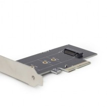 Carte PCI SSD M.2 GEMBIRD PEX-M2-01