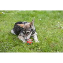 Dog chewing toy Kerbl Red Green Natural rubber