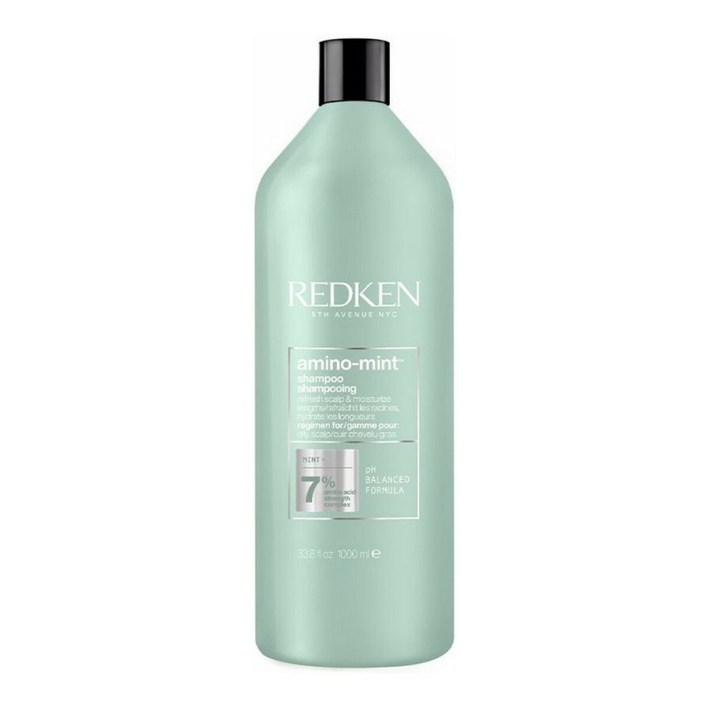 Shampooing Redken Amino Mint 1 L