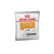 Aliments pour chat Royal Canin NUTRITIONAL SUPPLEMENT ENERGY