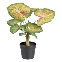 Plante décorative 48 x 46 x 55 cm Rouge Vert PVC