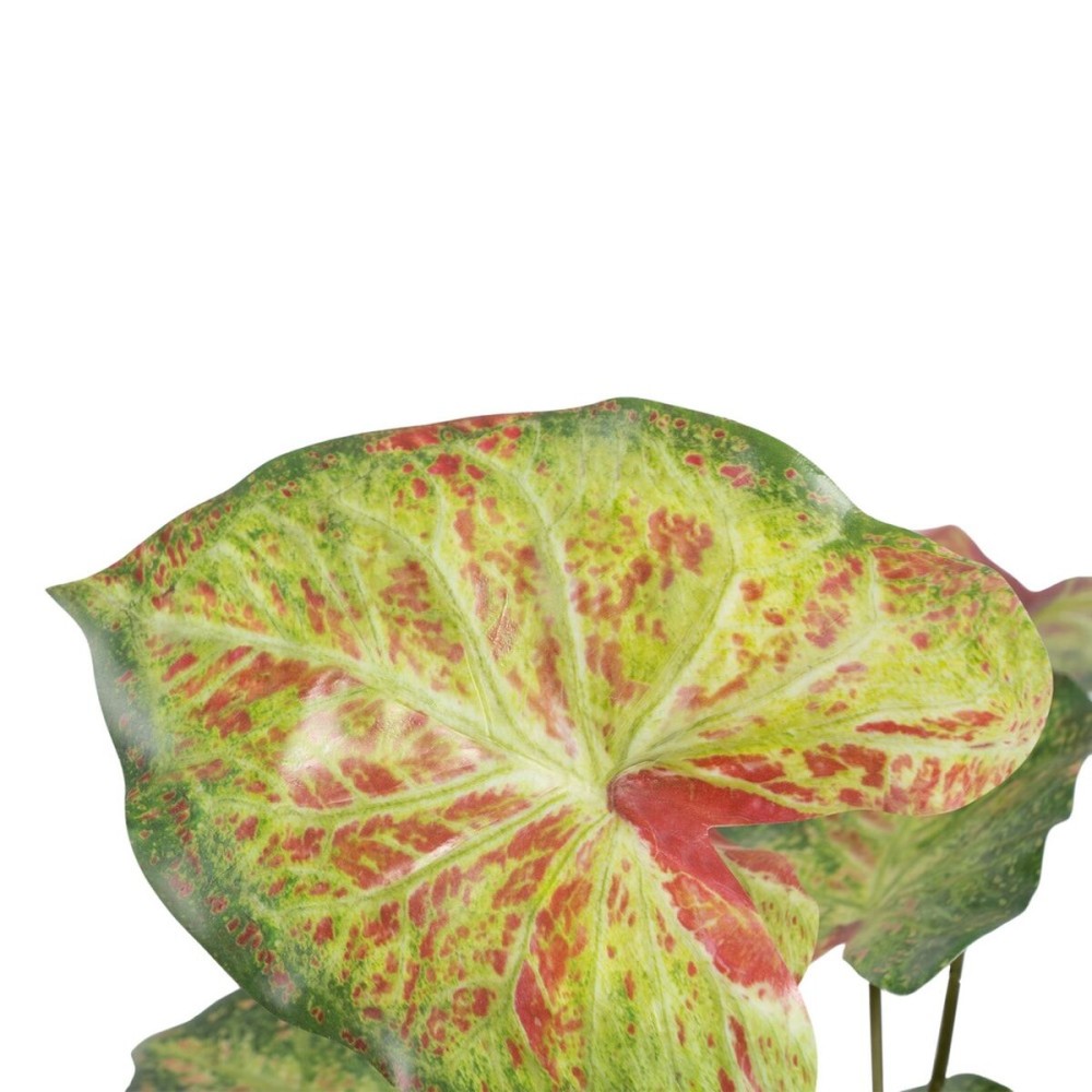 Plante décorative 48 x 46 x 55 cm Rouge Vert PVC