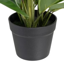 Decorative Plant 50 x 45 x 48 cm Green PVC