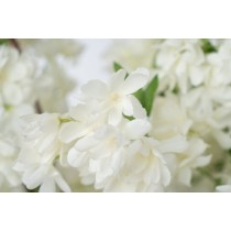 Decorative Flowers Romimex White 130 x 190 x 130 cm Cherry blossom